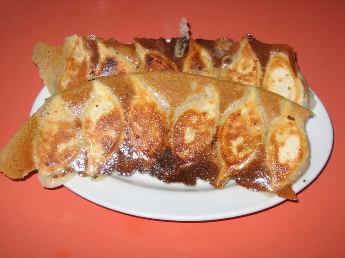 Pan-fried gyoza joined by a crisp lattice
