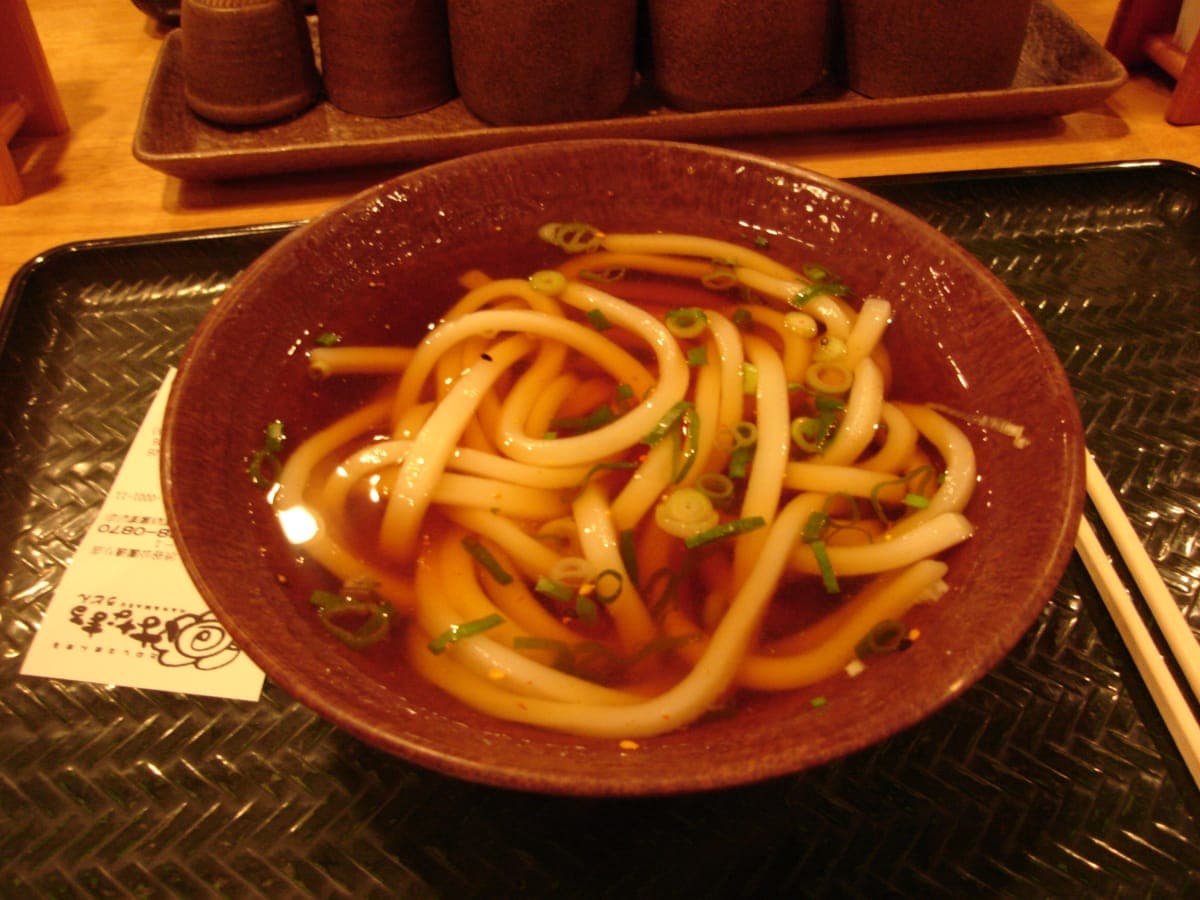 A bowl of kake udon in broth