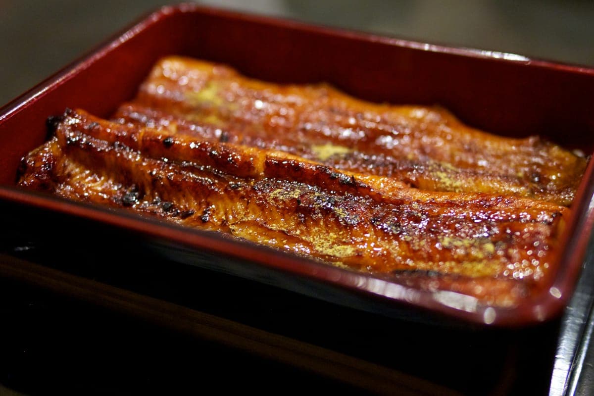 Unaju: grilled eel over rice in a lacquered box